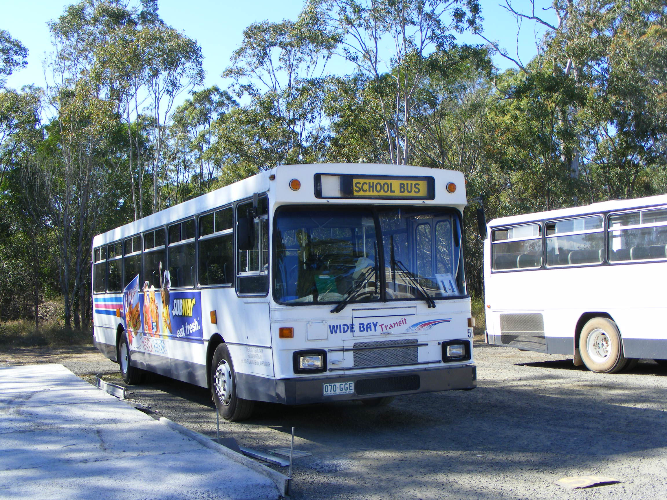 Crossley Bus Lines BUS IMAGE GALLERY